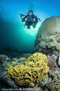 Diver at twilight by John Parker 